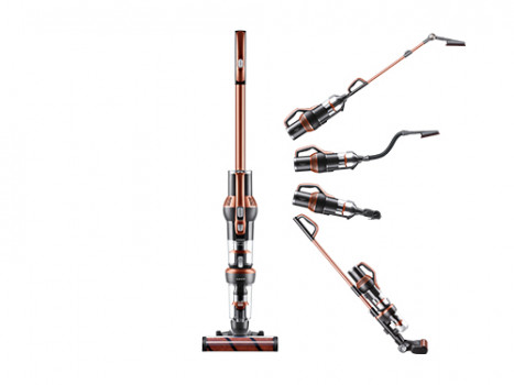 2019���m���Ј�����̓r�Q���������ʄt��Ȼ����