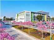 ë�������A��ǰ������ӯ�����F(xi��n)���ţ��߶˻���(zh��n)��ҊЧ